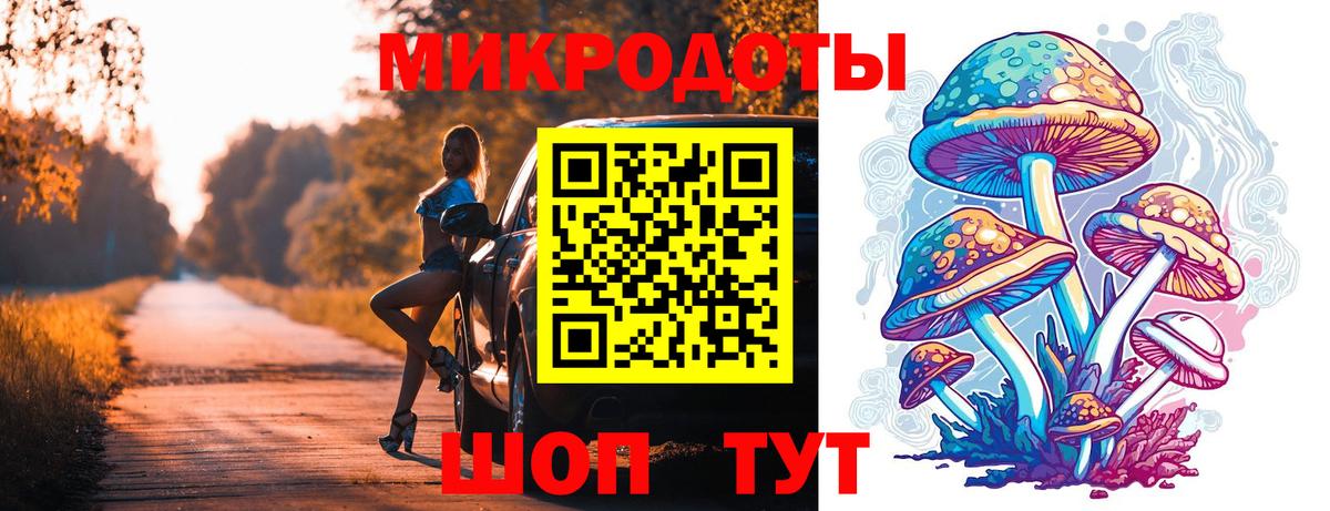 Псилоцибиновые грибы Psilocybine cubensis Малгобек