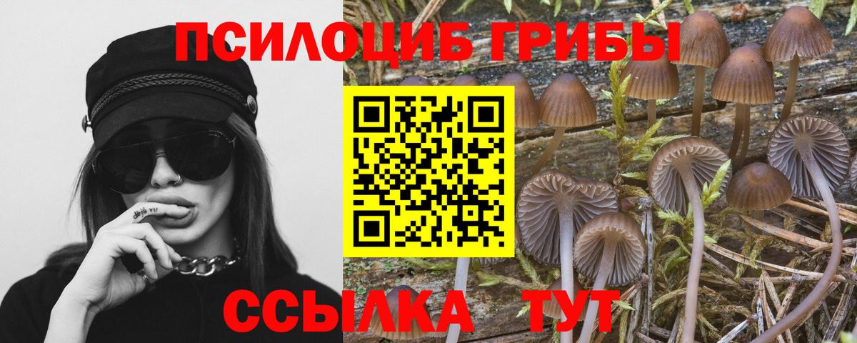 Бошки Шишки Малгобек